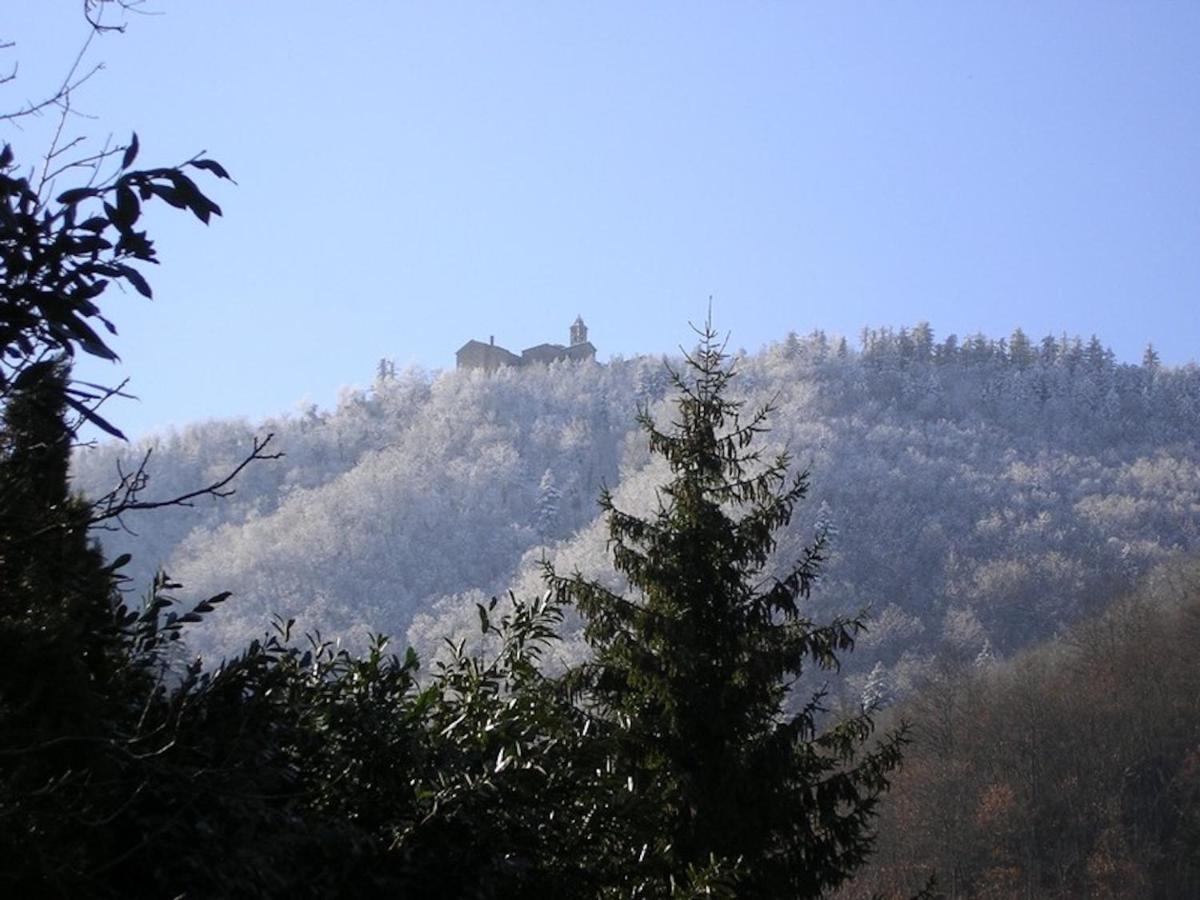 Villa Porcigliano Olive Grove Polcanto Luaran gambar