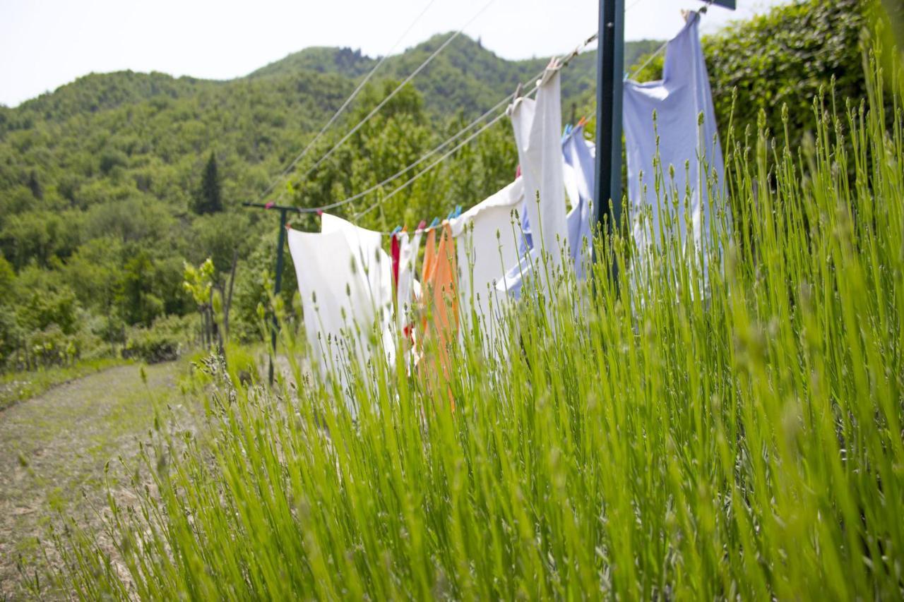 Villa Porcigliano Olive Grove Polcanto Luaran gambar