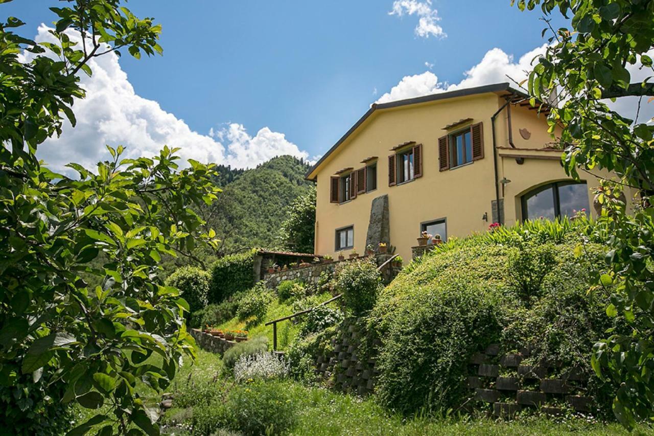Villa Porcigliano Olive Grove Polcanto Luaran gambar